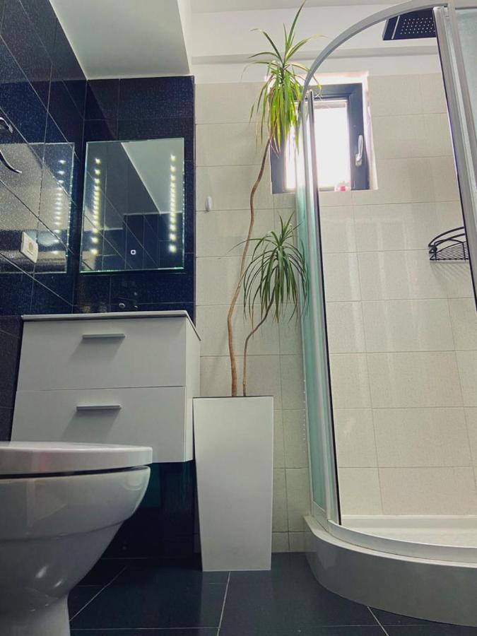 Peacock Apartament- Stefan Building Apartment Navodari Luaran gambar